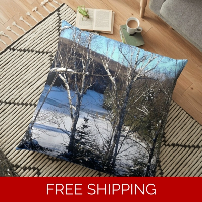 Floor Pillow Case Lake Perry Winter 2019 from Roof Top